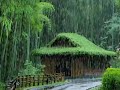 Heavy rain 🌧️ and thunderstorms sounds for deep sleep 🛌 💤 #rainoundforsleep #thundersounds #rain