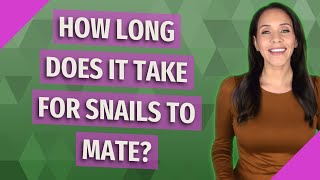 How long does it take for snails to mate?