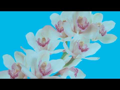 პოეზიის მსოფლიო დღე „კავკასიურ სახლში“