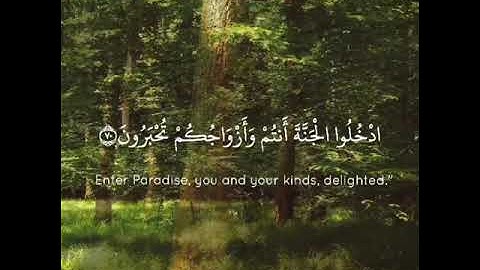 ما تيسَّر من سورة الزخرف للشيخ أبو بكر الشاطري - تلاوة خاشعة من صلاة العشاء يوم التروية ١٤٢٩هـ