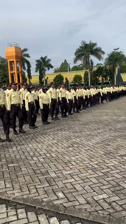 Seragam satpam terbaru