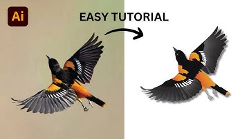 Adobe Illustrator Tutorial - How to Create Oriole Bird Vector Illustration in adobe illustrator