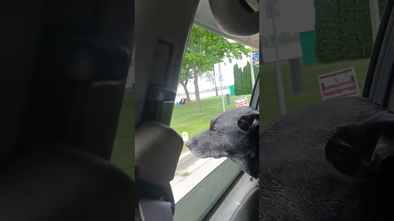 ira Township, St. Johns Marsh. 