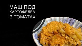 МАШ С ОВОЩАМИ В ТОМАТНОМ СОУСЕ МАШ С ОВОЩАМИ В ТОМАТНОМ СОУСЕ