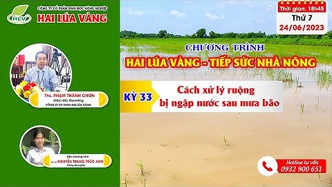 Phá váng sau khi đất bị ngập úng là gì