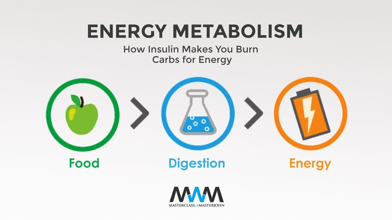 How Insulin Makes You Burn Carbs for Energy | MWM 2.24 - YouTube