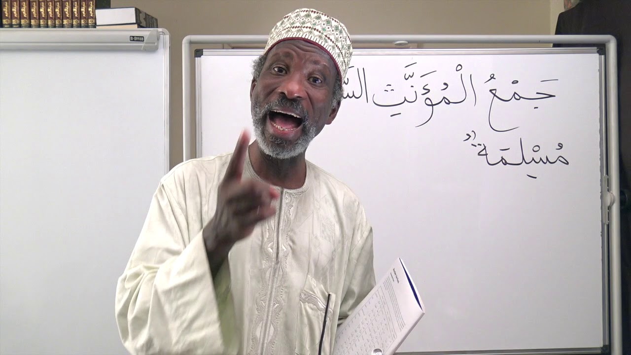 Gateway to Arabic Book 2, Lesson Thirty-Three:               The Plural in Arabic - YouTube