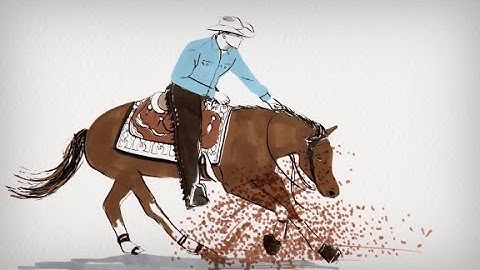 Equestrian disciplines: Reining