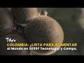 Colombia: ¿Lista para Alimentar al Mundo en 2050? Tecnología y Campo - TvAgro por Juan Gonzalo Angel