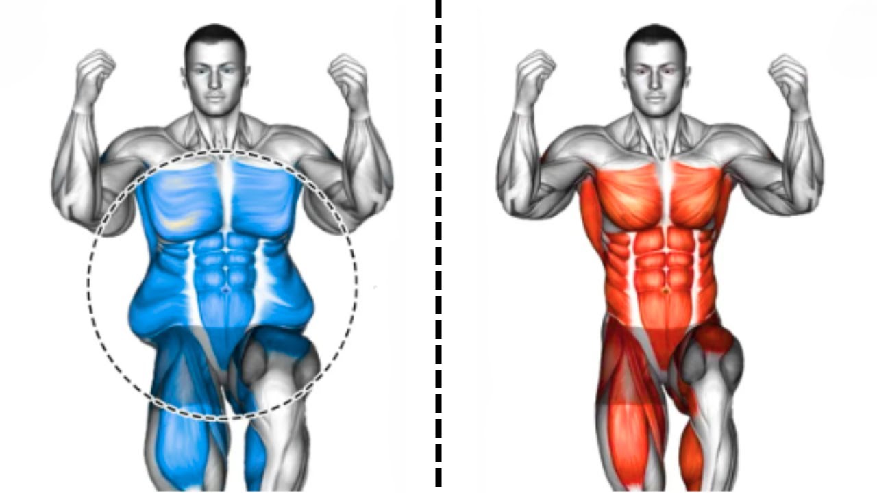 5 MIN DAILY ABS WORKOUT DO IT ANYWHERE YouTube 5-min-daily-abs-workout-do-it-anywhere-youtube