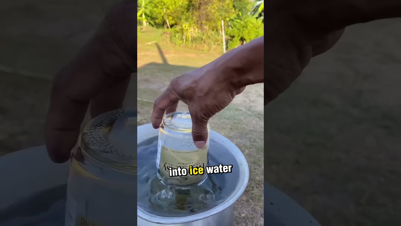 Never Throw These Bottles In The Trash 