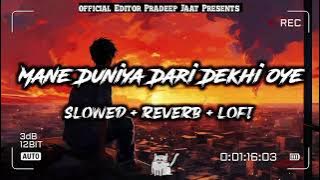 Mane Duniyadari dekhi oye..(slowed rever)Lofi 2024 #new #music