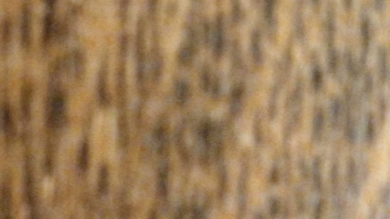 thingsbetweenflatspaceand curvedspace(3)