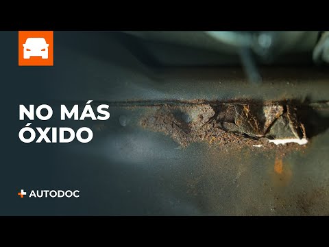 Los 5 mejores consejos para prevenir el óxido en el coche | Consejos de AUTODOC @autodoces