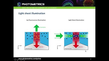 Introduction to Light Sheet Microscopy
