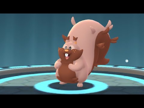 Como obter Skwovet e Wooloo no Pokémon Go