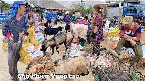 Chợ phiên vùng cao mới nhất 2025 - tại cốc ly bán dê lợn và đặc sản ngâm rượu | Thắng Tây Bắc