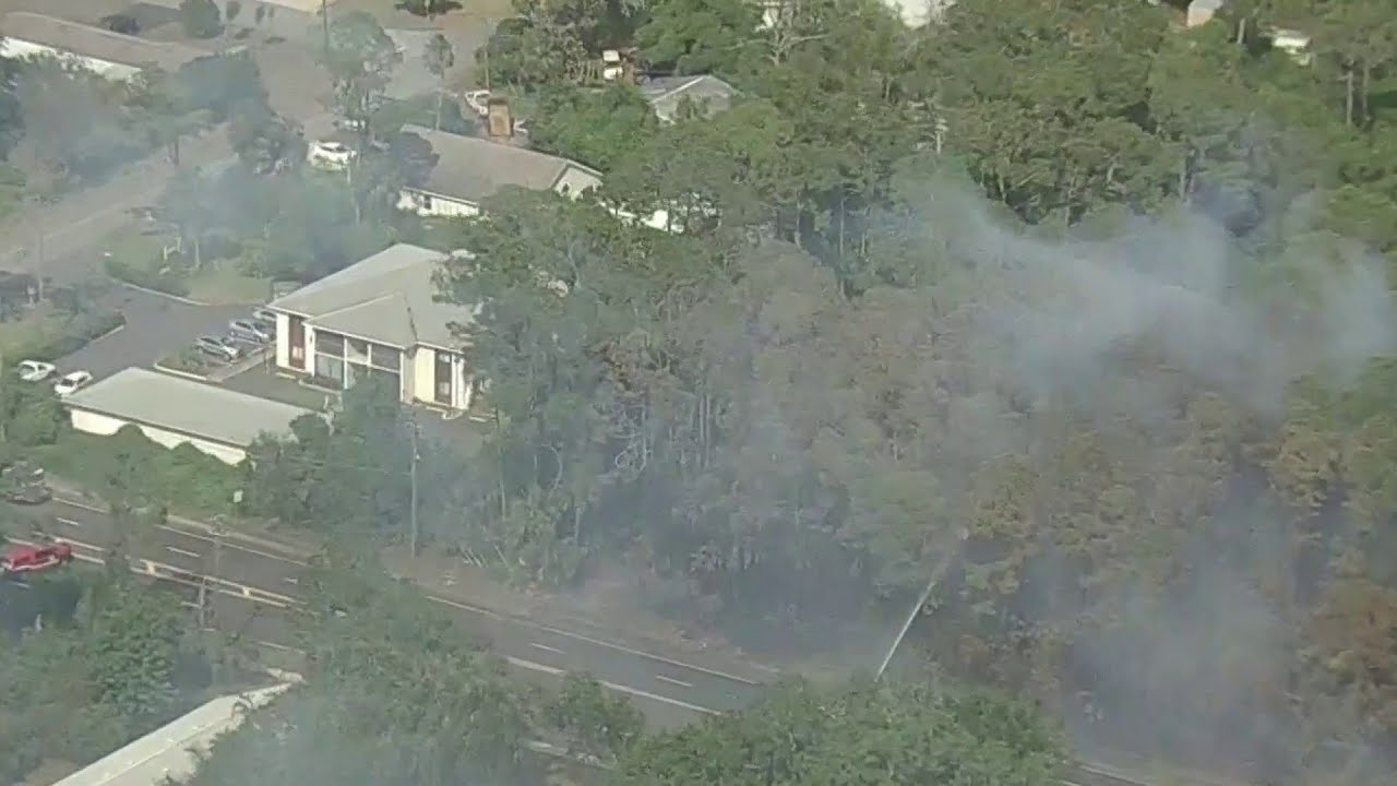 Daytona Beach brush fire closes busy road - YouTube