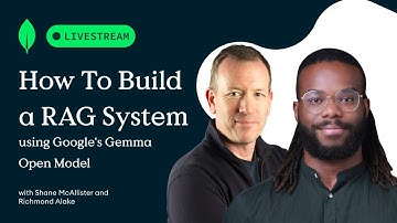 How To Build A RAG System using Google