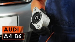 Hoe Veerpootlagers AUDI A4 (8E2, B6) veranderen - instructie