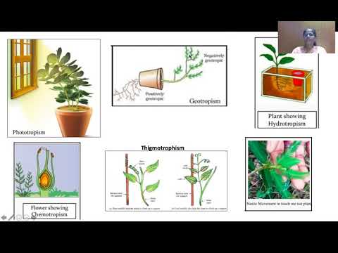 10th Grade Biology Chapter 2: Control and Coordination(2021) Part-3