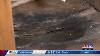 Little Rock apartment has black mold issue