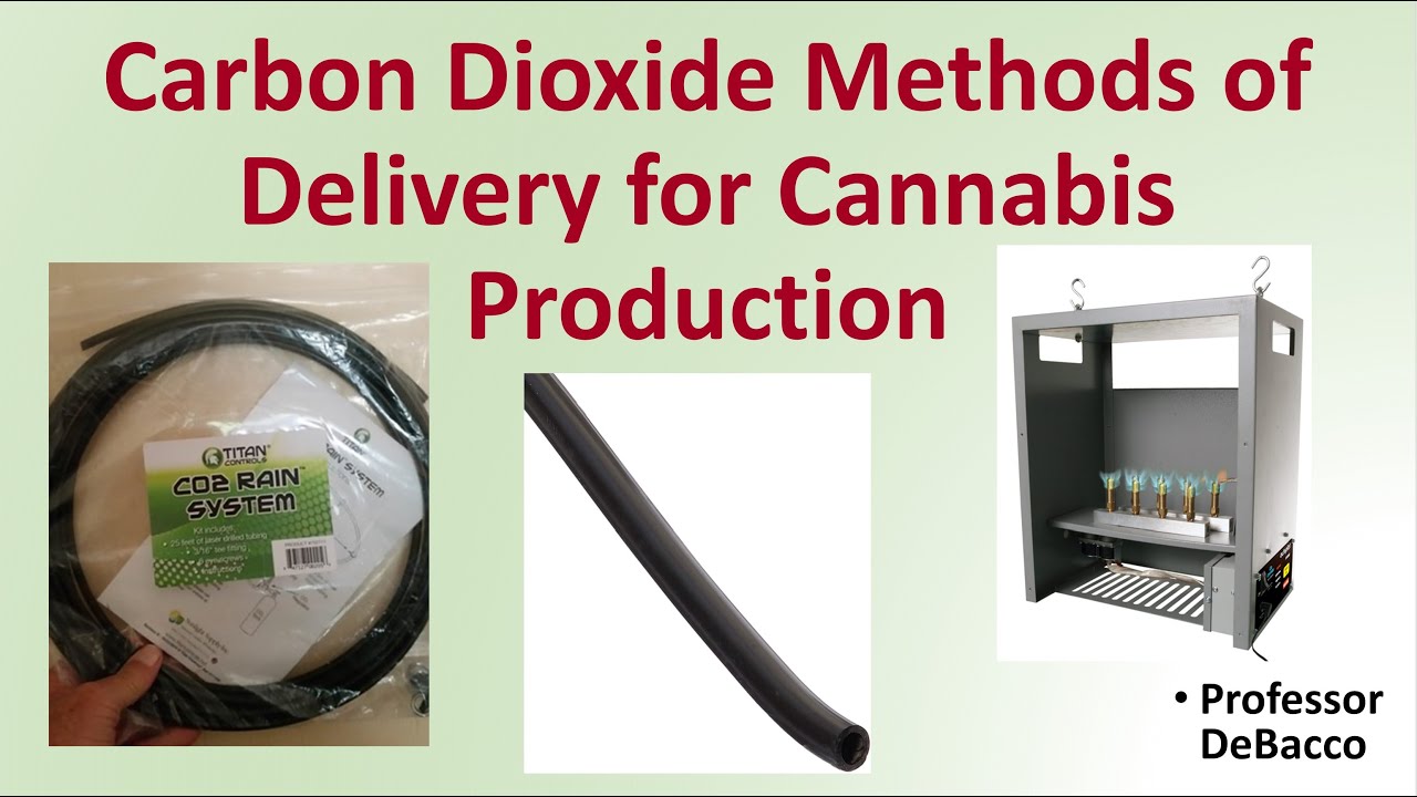 Carbon Dioxide Methods of Delivery for Cannabis Production
