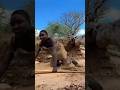 African Bow Hunting😱 | Tribal Hunters Chasing with Bow & Arrow.#shorts #shortfilm #foryou