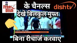 How to Watch DD Free Dish Channels Lifetime Free on Dish Tru HD+ Set top Box | 2019 screenshot 5