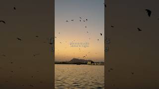 Udaipur, India | The Venice of the East | Newmarket Holidays