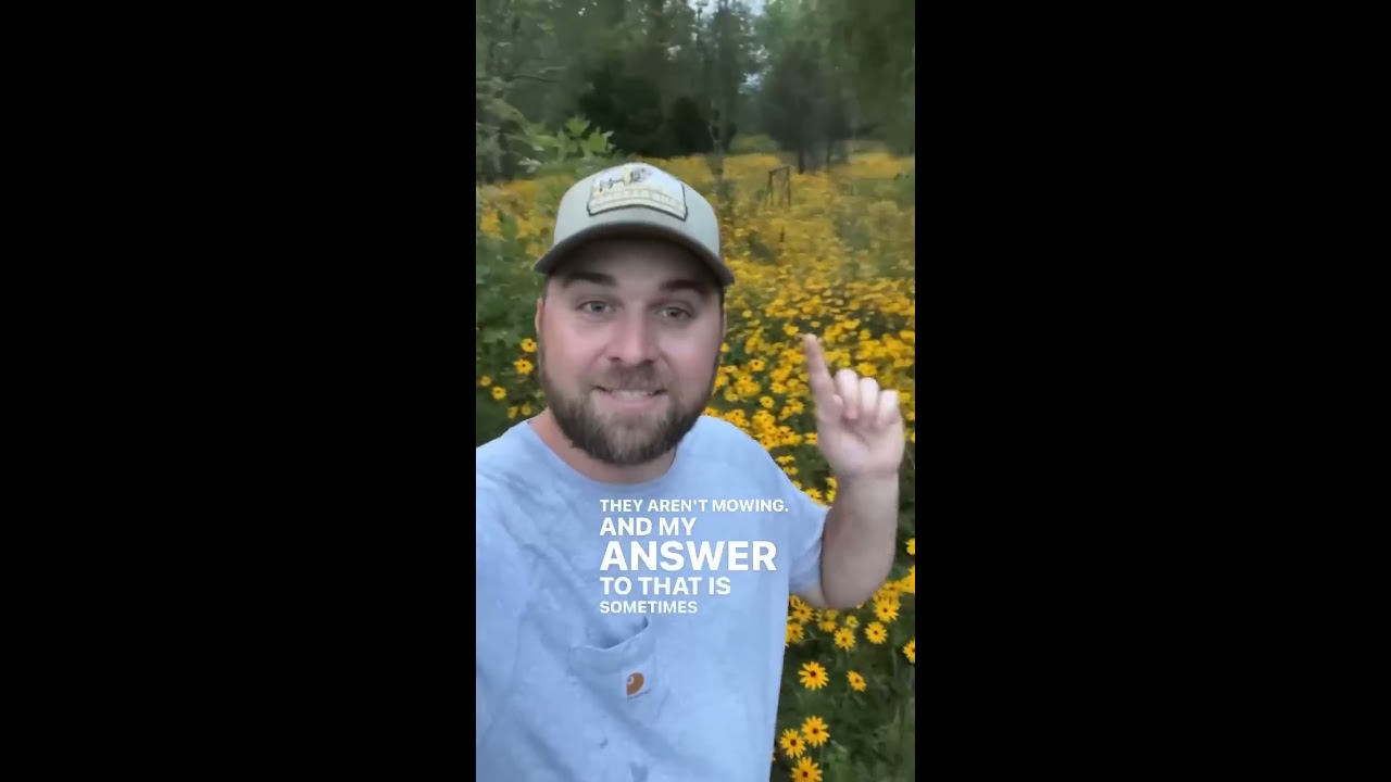 Aggressive Natives Are A Good Thing 