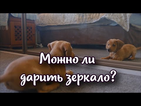 Можно ли дарить зеркало: народные суеверия и приметы