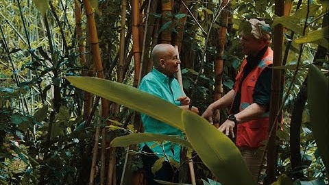 Preserving biodiversity in the areas of mining operation