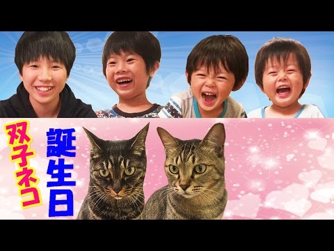 猫４兄弟様。専用 Birthday Gift from the Close-Knit Brother4: Celebrating the