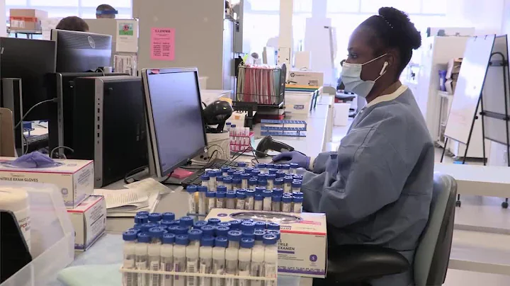 Inside Look at COVID 19 Testing in Lab