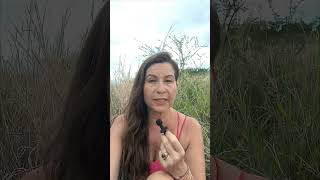 Les Raisons Pour Lesquelles Jai Choisi De Ne Pas Être Business Coach Même Si Je Suis Formée À Ça