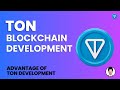 Unlocking the Power of TON Network: A Comprehensive Introduction for Developers