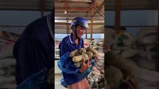 Hành Trình Chở Rau Củ Lên Lễ Hoa Đăng Núi Cấm...p2