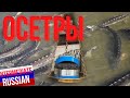 Intermediate Russian Listening: Осетры