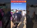 23 कर ड क भ स कम ई क तन Income Kitni Viral Shorts 23 कर ड क भ स कम ई क तन Income Kitni Viral Shorts