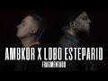 Lobo Estepario ft. Ambkor - Fragmentado