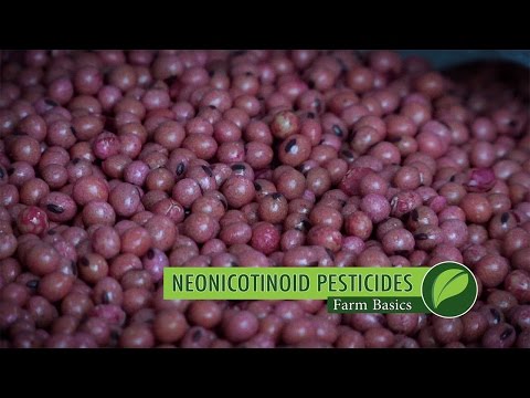 वीडियो: नियोनिकोटिनोइड्स किलिंग बीज़ के बारे में जानकारी - गार्डन में नियोनिकोटिनोइड्स के विकल्प के लिए टिप्स