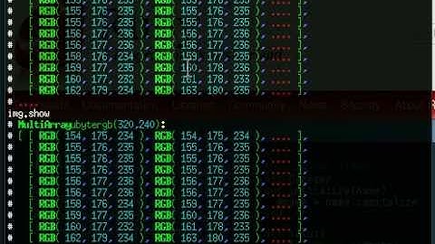 HornetsEye Interactive Ruby Demonstration