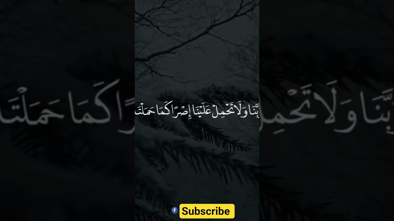 heart touching Quran Recitation Islamic video #quranrecitation #quranverses #quran #qurantilawat #
