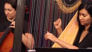 Canon in D (Pachelbel) for Harp Combo (Harp, Violin, Cello)