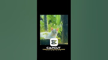 How I create Cinematic colour Grading In CapCut⚡️#shorts #viral #edit #cinematic #capcut
