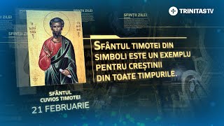 Sfântul Cuvios Timotei – 21 februarie #Sinaxar