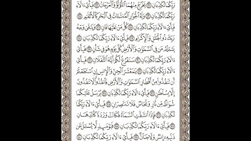 سورة الرحمن تلاوة الشيخ وليد النائحي