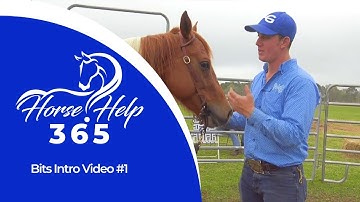 Bits Intro Video #1 | Horse Help - Michael Gascon