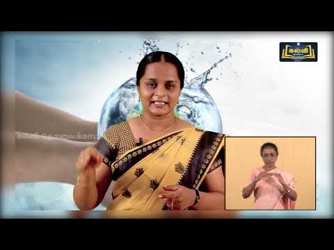 8th Std KALVI TV Video - சமூக அறிவியல் | சைகைமொழி வழி | நீரியல் சுழற்சி | அலகு 3 | பகுதி 1